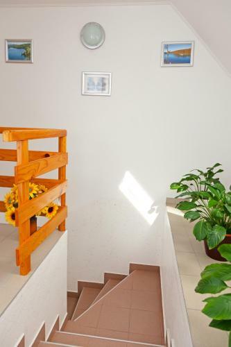 Hostal Guest House Ljubica