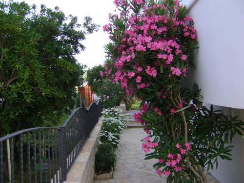 Apartment Ljubac 14593c