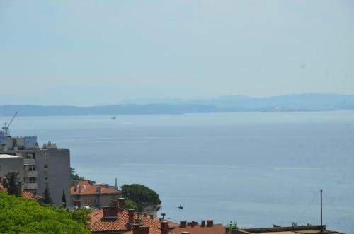 Apartment Babic