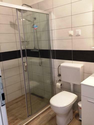 Goga Mare Apartment