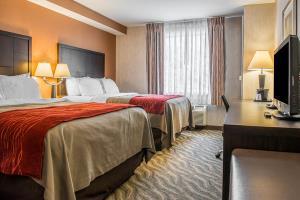 Hotel Comfort Inn Pittsburgh