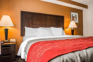 Hotel Comfort Inn Pittsburgh