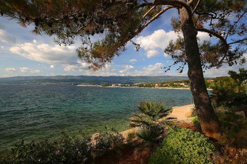 Hostal Guest House Zeba & Riviera