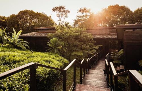 Lodge One&only Nyungwe House