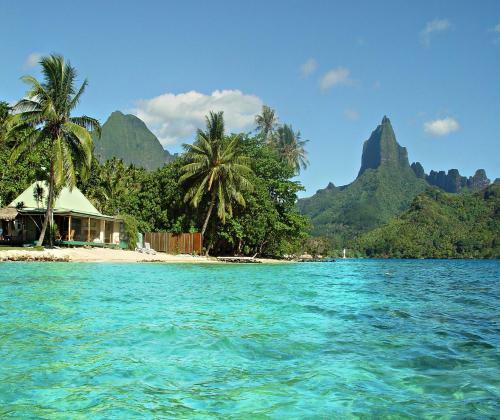 Robinson's Cove Villas - Deluxe Wallis Villa