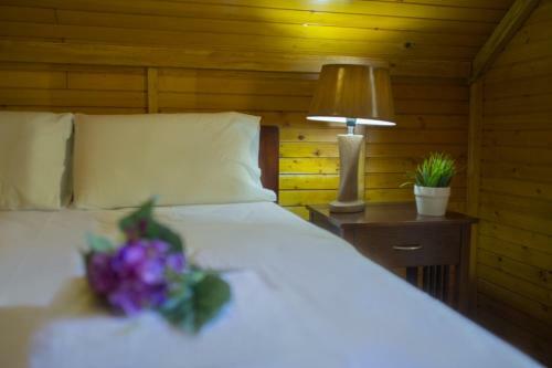 Ricky Chalet Near Troodos
