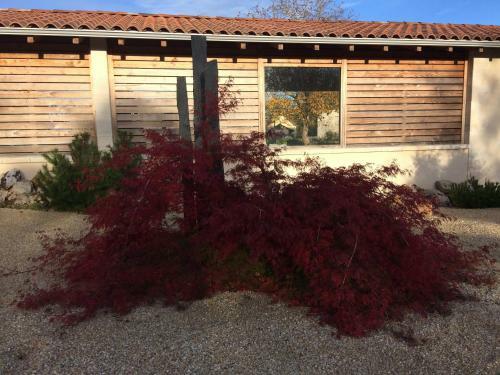 Bed & Breakfast Le Couvent