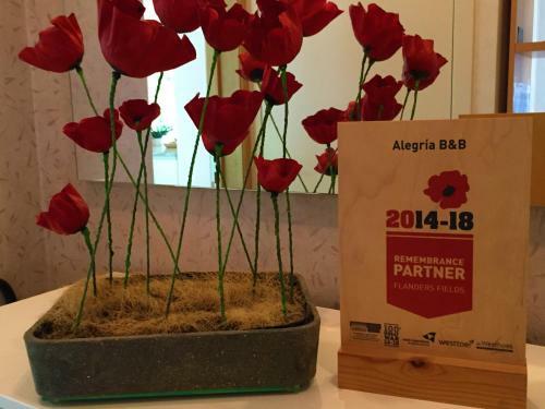 Alegr�a B&B
