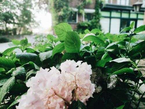 Hostal Vakantie Woning/guesthouse Momo