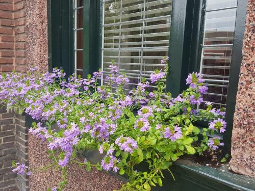 Hostal Vakantie Woning/guesthouse Momo