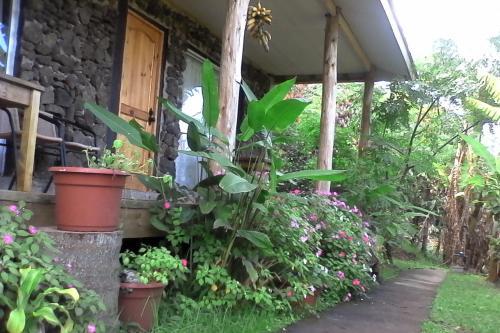 Cabana Pumakari