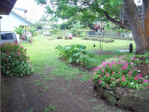 Cabana Pumakari