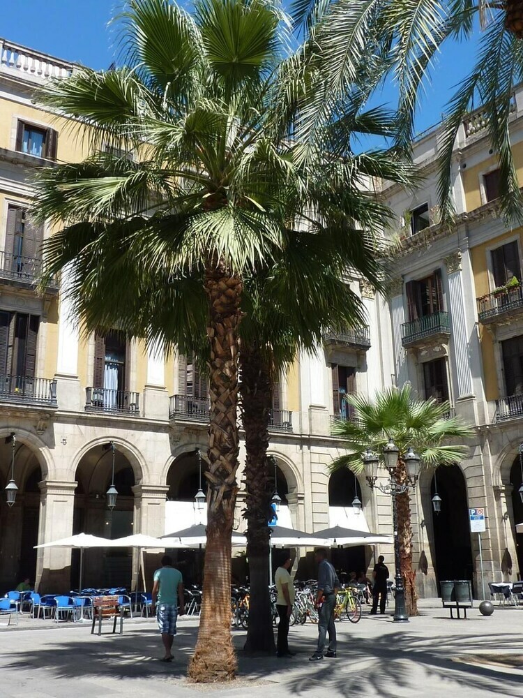Hotel Roma Reial