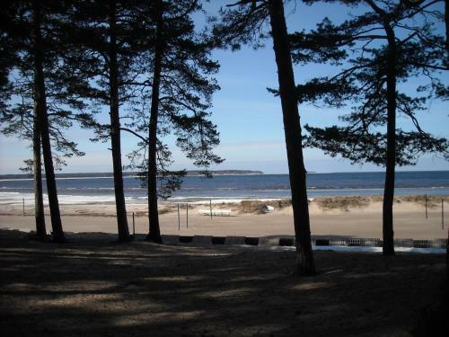 V�su G�stewohnung - Lahemaa Nationalpark