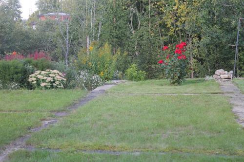 Helge Guest House