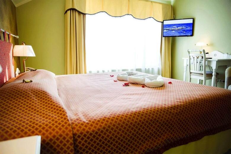 Hotel Metsis