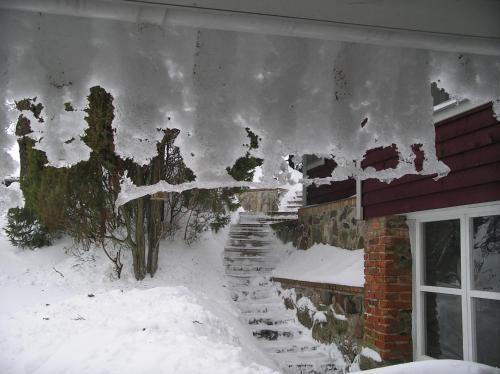 Pohlametsa Holiday House