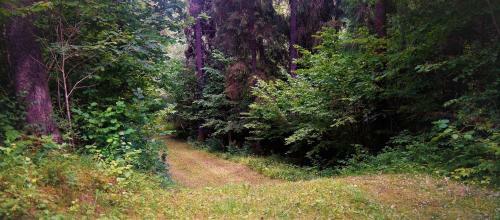 Hotel Holstre-polli Holiday Centre
