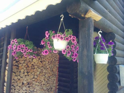 Agroturismo Safari House