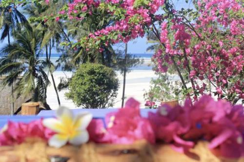 Apartamento Surfescape Village Zanzibar