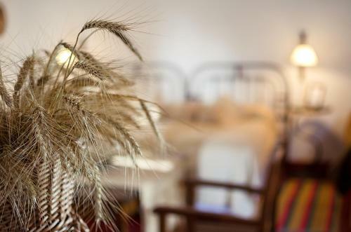 Hostal Finca Las Margaritas