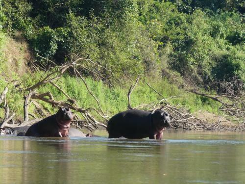 Lodge Kisampa Bush Retreat