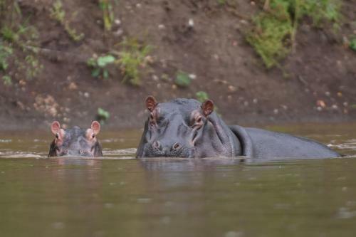 Lodge Kisampa Bush Retreat