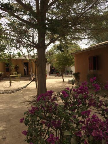 Le Farakaba