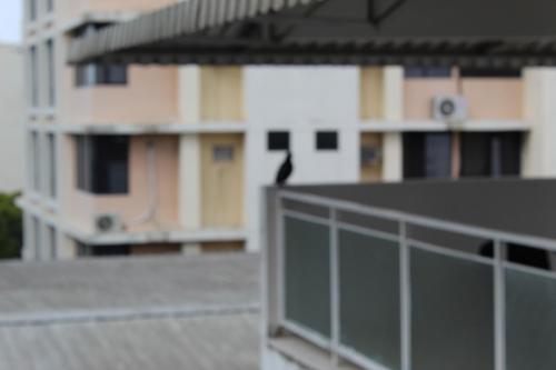 Blu Hostel