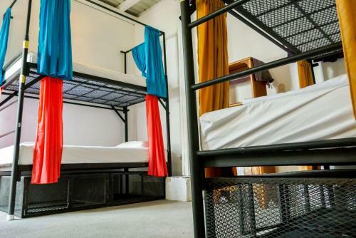 Casa Oro Eco Hostel