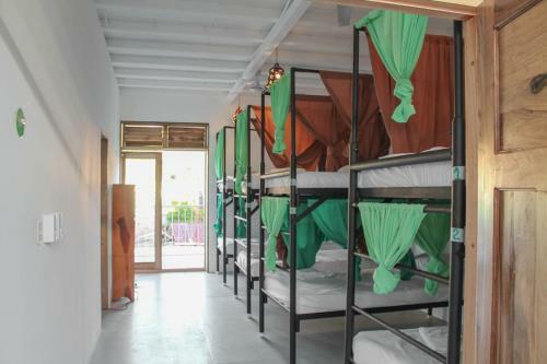 Casa Oro Eco Hostel