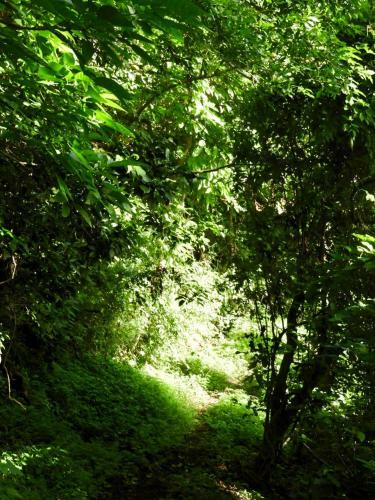 La Finca Esperanza