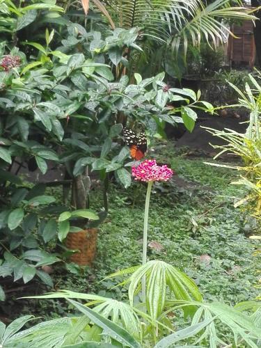 Albergue Hospedaje As� Es Mi Tierra
