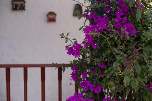 Hostal Finca Hotel La Casona de Suanoga