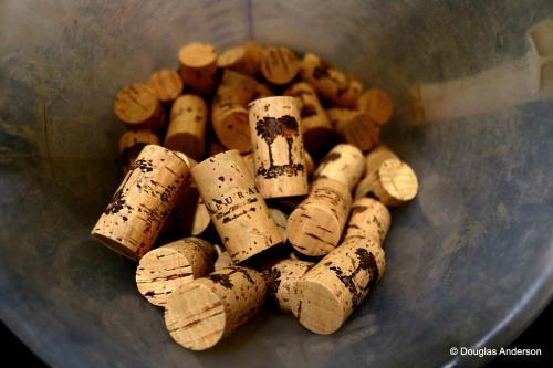 Hotel Neuras Wine And Wildlife Estate