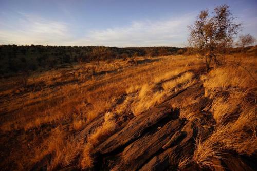 Eagle Rock Guest-farm And Business Lodge