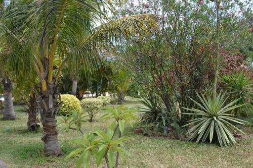 Lodge Bougainvilla Sol
