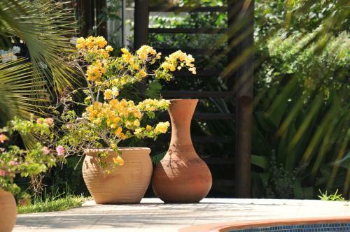 Lodge Bougainvilla Sol