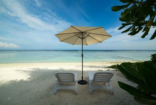 Hostal The White Harp Beach Hotel