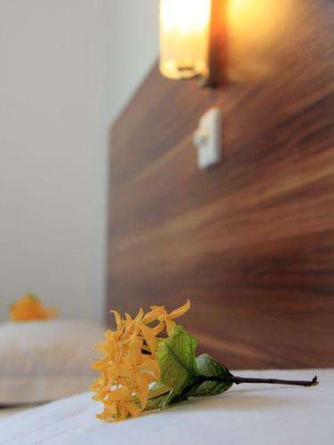 Hostal Rip Tide Vacation Inn, K.guraidhoo