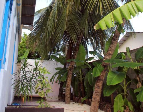 Hostal Rip Tide Vacation Inn, K.guraidhoo