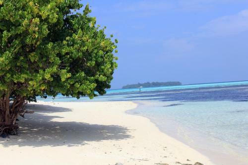 Hostal Rip Tide Vacation Inn, K.guraidhoo
