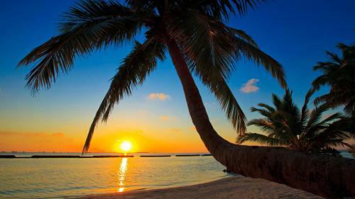 Hostal Equa Reef Maldives