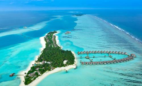 Hotel Niyama Private Islands Maldives