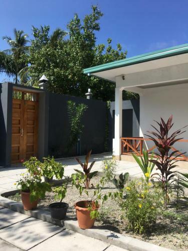 Hostal Equator Homestay