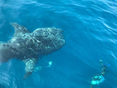 Hostal Noovilu Suites Maldives