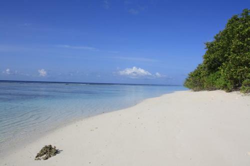 Hostal Boutique Beach All Inclusive Diving Hotel