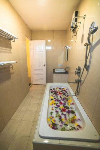 Hostal Green Wing