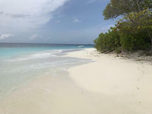 Hostal Sundive Lodge Maldives