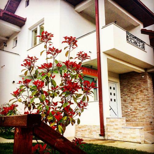 Hestia Apartments